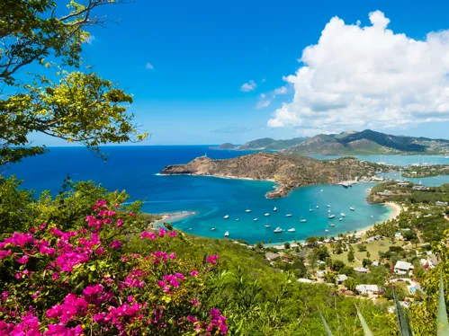 The Caribbean